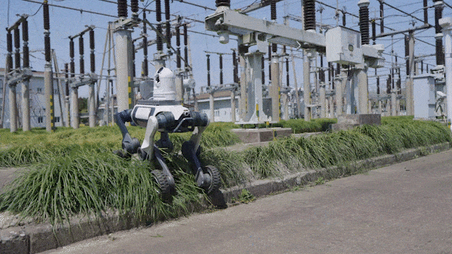 DeepRobotics-M20-PRO-lynx-Invelogy