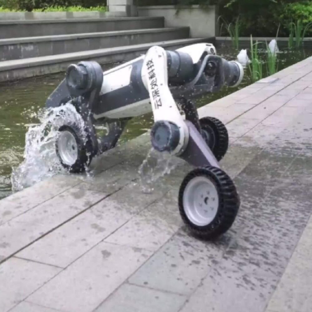 Invelogy DeepRobotics M20 Pro - IP rating IP66