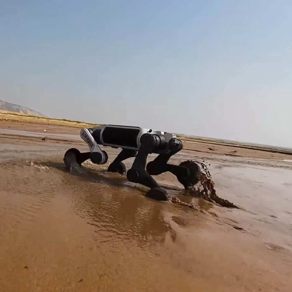 Invelogy DeepRobotics M20 Pro - prejazd blatom