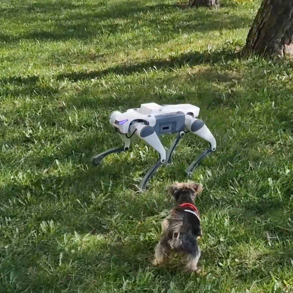 Keď pes stretne robotického psa reakcia Yorkshira na DeepRobotics Lite3 (real-world test)